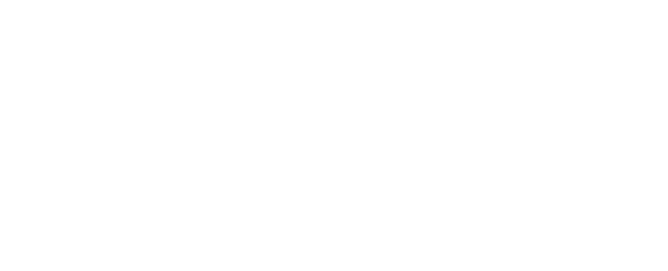dintuitivdcoach logo